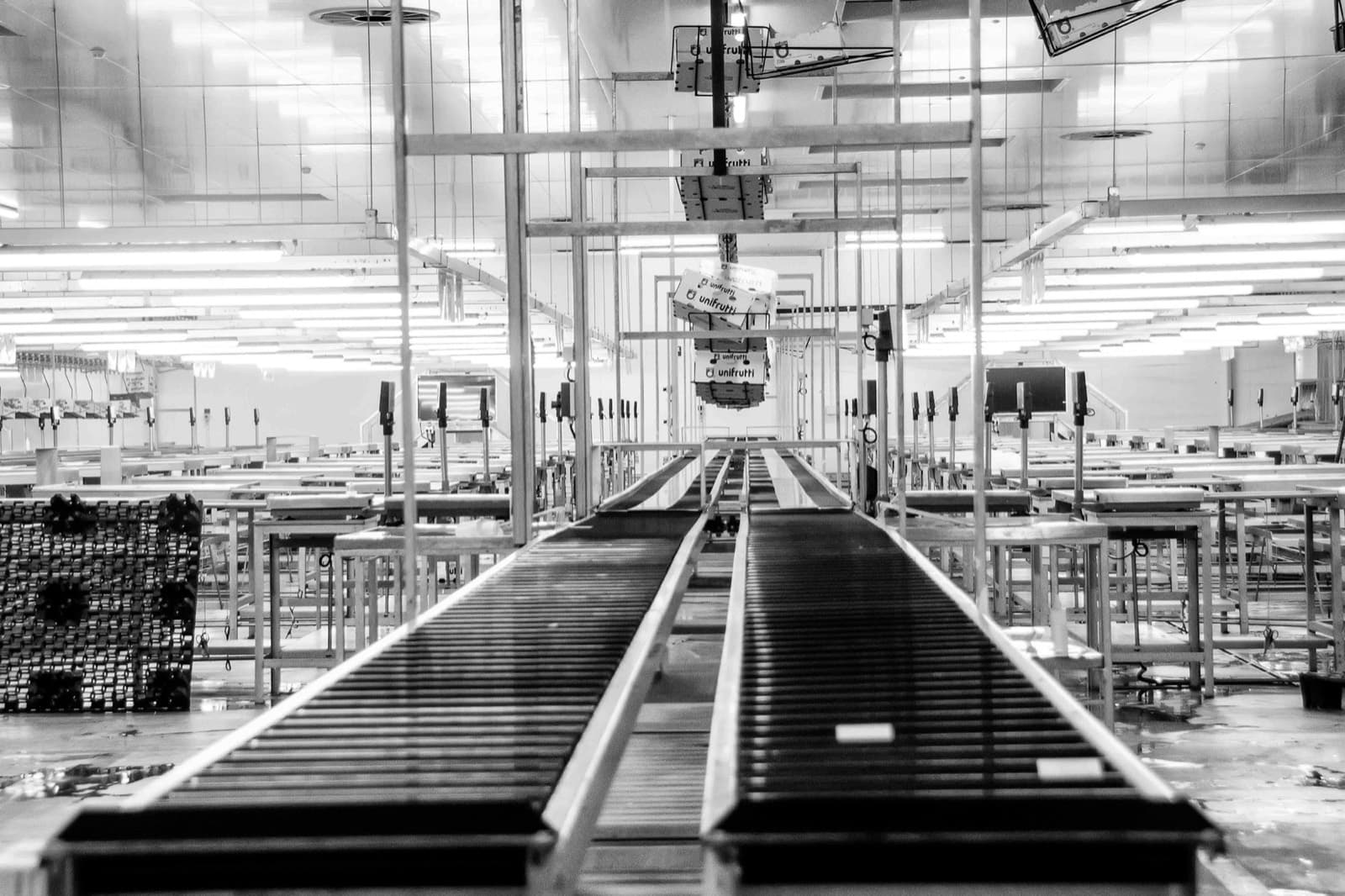 Empty conveyor lines running the length of a factory floor in the Western Cape
